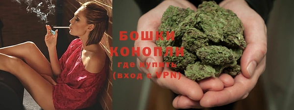 гидра Козельск