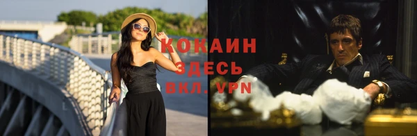 ПСИЛОЦИБИНОВЫЕ ГРИБЫ Анжеро-Судженск