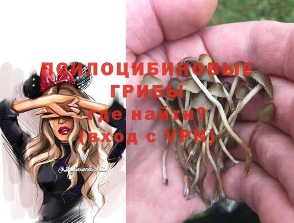 бошки Костерёво