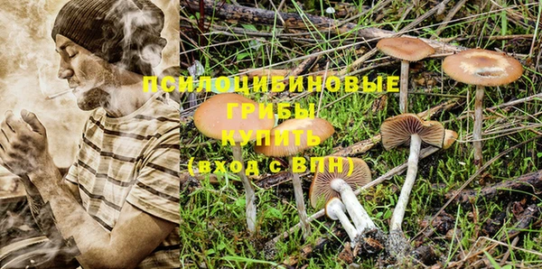 мдпв Коряжма