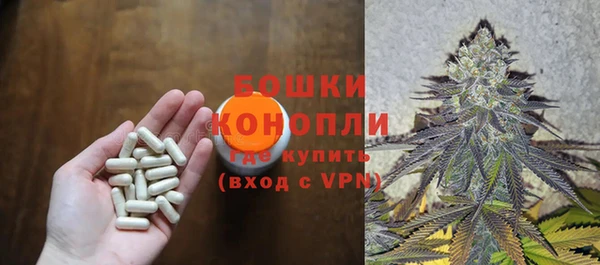 гидра Козельск